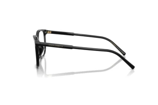 Vue latérale Dolce & Gabbana DG3445 (501)