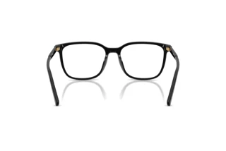 Vue arrière Dolce & Gabbana DG3445 (501)