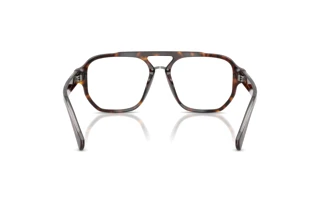 Vista posteriore Dolce & Gabbana DG3447 (502)