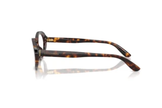 Vue latérale Dolce & Gabbana DG3450 (502)