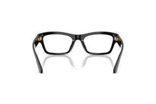 Vue arrière Dolce & Gabbana DG3454 (501)
