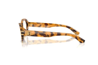 Vue latérale Dolce & Gabbana DG3455 (3496)