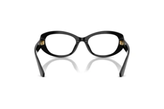 Vue arrière Dolce & Gabbana DG3455 (501)