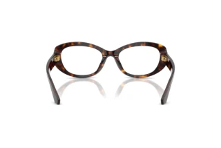 Rückansicht Dolce & Gabbana DG3455 (502)