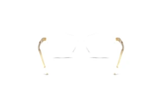 Vista posteriore Dolce & Gabbana DX3002 (3133)