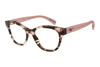 Vue de face Emporio Armani EA3162 (5766)