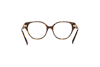 Vue arrière Emporio Armani EA3211 (5026)