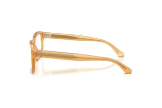 Vue latérale Emporio Armani EA3255 (6246)
