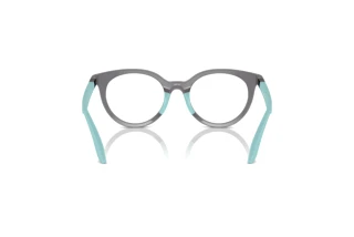 Vista posteriore Emporio Armani EK3007 (6134)