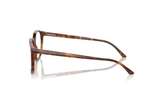 Vue latérale Giorgio Armani AR7074 (5988)
