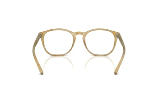Vue arrière Giorgio Armani AR7074 (6300)