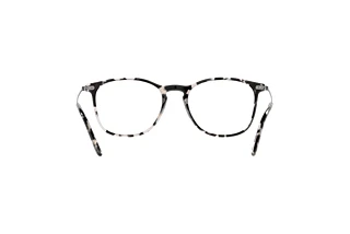 Vista posteriore Giorgio Armani AR7160 (5873)