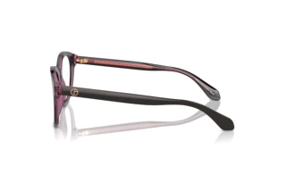 Vue latérale Giorgio Armani AR7256 (6088)