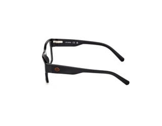 Seitenansicht Harley-Davidson HD50110 (001)