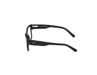 Seitenansicht Harley-Davidson HD50110 (002)