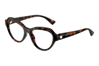 Vue de face Jimmy Choo JC1002HU (5002)