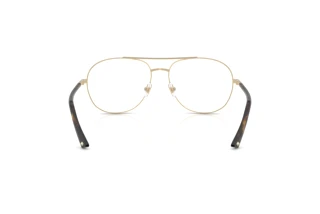 Rückansicht Jimmy Choo JC2021 (3017)