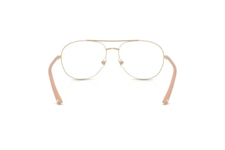 Vista posteriore Jimmy Choo JC2021 (3027)