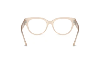 Vue arrière Jimmy Choo JC3035 (5025)