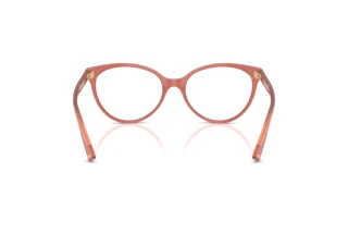 Rückansicht Jimmy Choo JC3047 (5084)