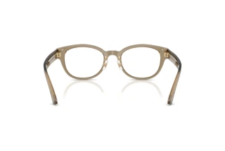 Vista posteriore Jimmy Choo JC3058D (5051)