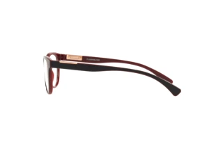Vue latérale Oakley PLUNGELINE (OX8146 - 814604)