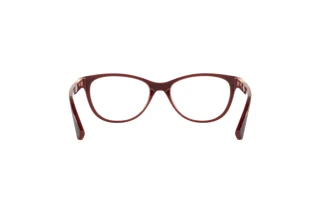 Vue arrière Oakley PLUNGELINE (OX8146 - 814604)