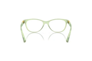 Rückansicht Oakley PLUNGELINE (OX8146 - 814610)