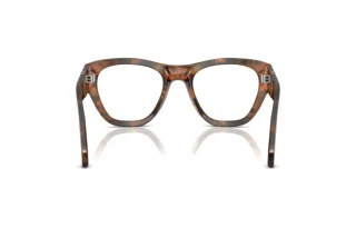 Vue arrière Persol PO0054V (108)
