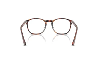 Vue arrière Persol PO3007VX (24)
