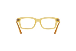 Vista posteriore Persol PO3301V (204)