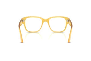 Rückansicht Persol PO3374V (204)