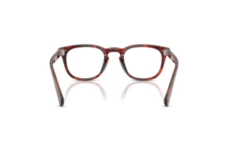 Vue arrière Persol GIANNI (PO3406V - 1242)