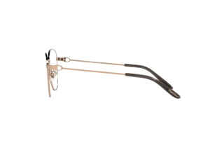 Vue latérale Ralph Lauren RL5117 (9350)