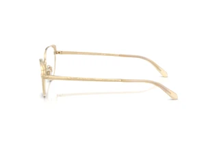 Seitenansicht Ralph Lauren RL5131 (9116)