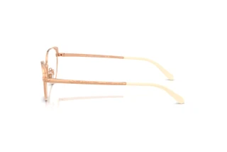 Vue latérale Ralph Lauren RL5131 (9329)