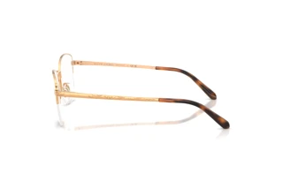Vista laterale Ralph Lauren RL5135 (9153)