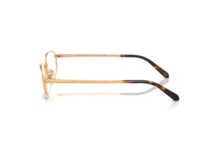 Seitenansicht Ralph Lauren RL5140 (9153)