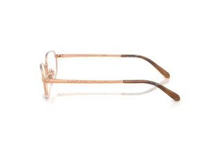 Seitenansicht Ralph Lauren RL5140 (9329)