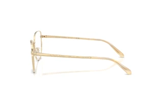 Seitenansicht Ralph Lauren RL5141 (9116)