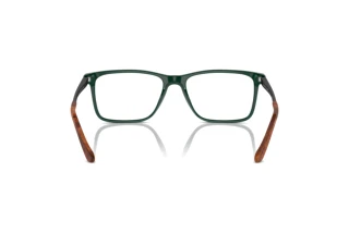 Vue arrière Ralph Lauren RL6133 (6140)