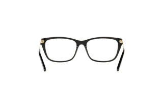 Vista posteriore Ralph Lauren RL6206 (5001)