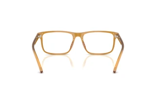Vista posteriore Ralph Lauren RL6225U (5275)