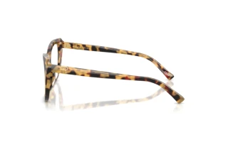 Vue latérale Ralph Lauren RL6232U (5004)