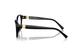 Vue latérale Ralph Lauren RL6236U (5001)