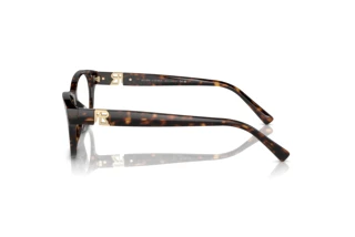 Vue latérale Ralph Lauren RL6237U (5003)