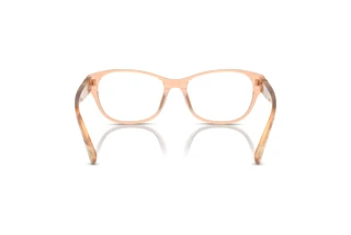 Vue arrière Ralph Lauren RL6237U (6110)