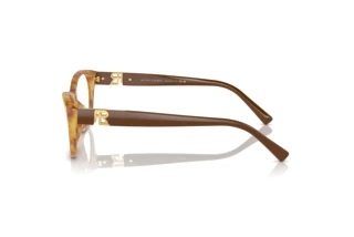 Vista laterale Ralph Lauren RL6237U (6113)
