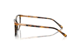 Vue latérale Ralph Lauren RL6242U (5134)