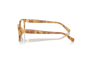 Seitenansicht Ralph Lauren RL6244U (5304)